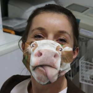 Funny Cow Tongue Cloth Face Mask
