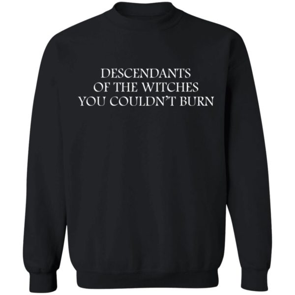 Descendants Of The Witches You Couldn't Burn Shirt | Teemoonley.com